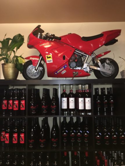 trip for a family reunion