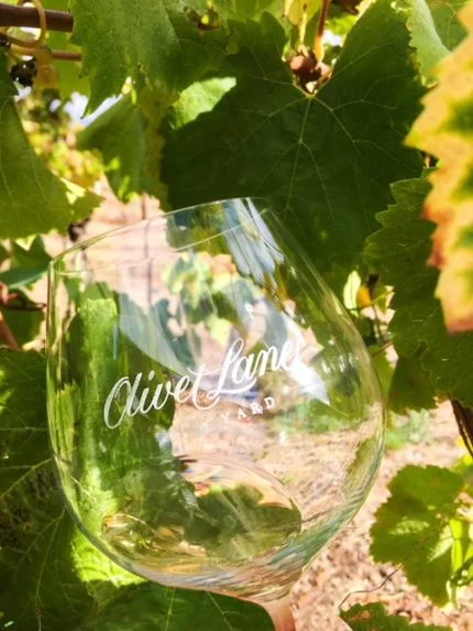 Pellegrini Wine Company