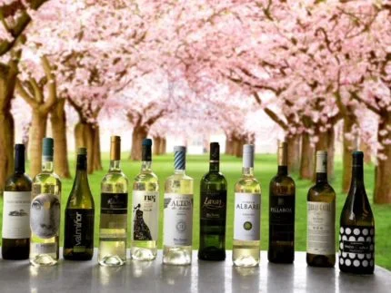 Albariño: A White Wine With Diversity for All