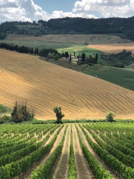 History of Montepulciano Wine