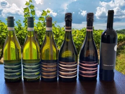 The Olivini Family’s