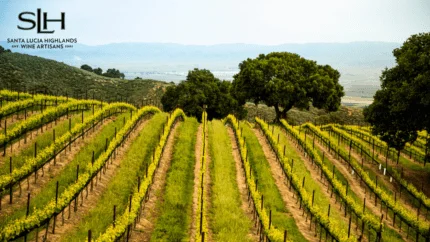 Santa Lucia Highlands AVA