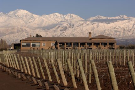 Winemakers in Argentina