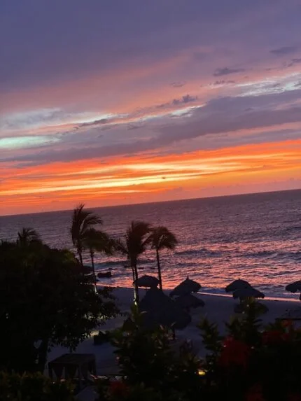 Pandemic Thoughts One Year Later