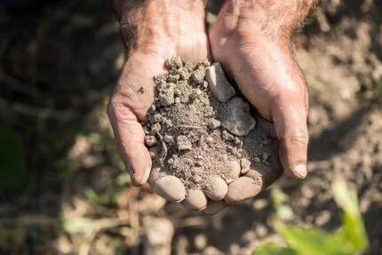 Storica -- Igniting America’s Awakening about Armenian Wines