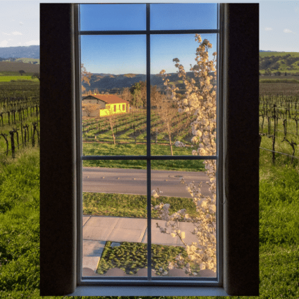 Diving into the Livermore Valley