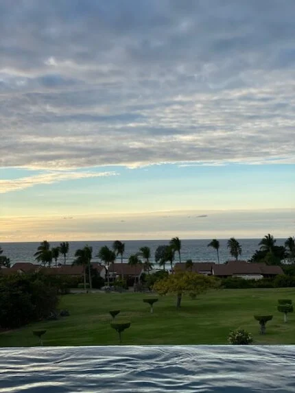 Paradise Found and Lost