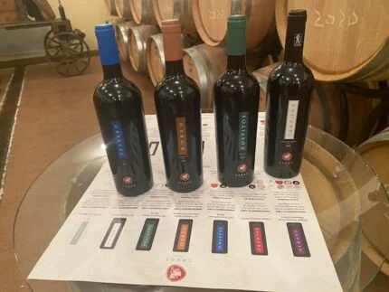 Discovering Carus Vini