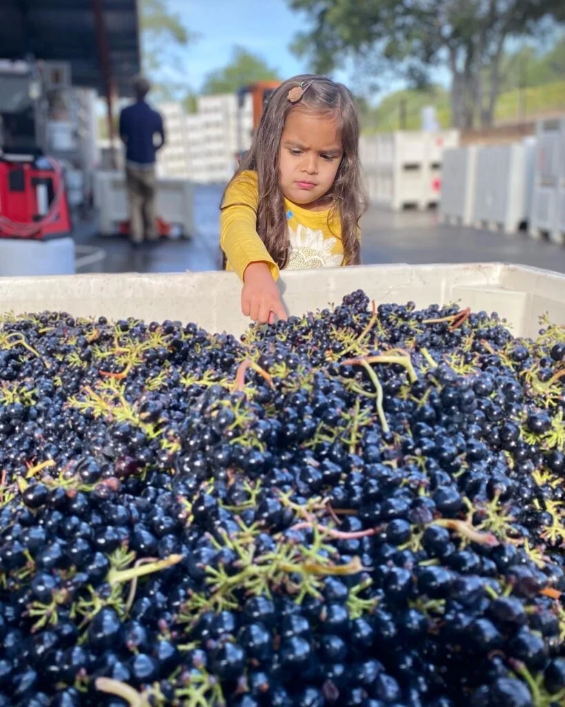 Family is Purpose of Puppione Family Wines