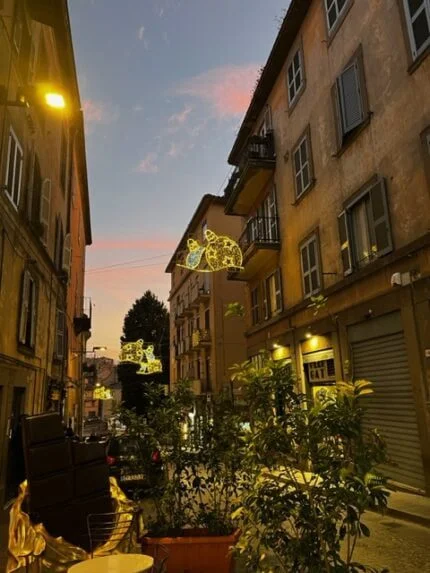 It Definitely Looks Like A Different Christmas