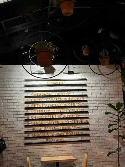 A Traveler's View of Valle de Guadalupe