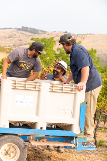 3 men wearing hats standing at wine cart in wine field during harvest
