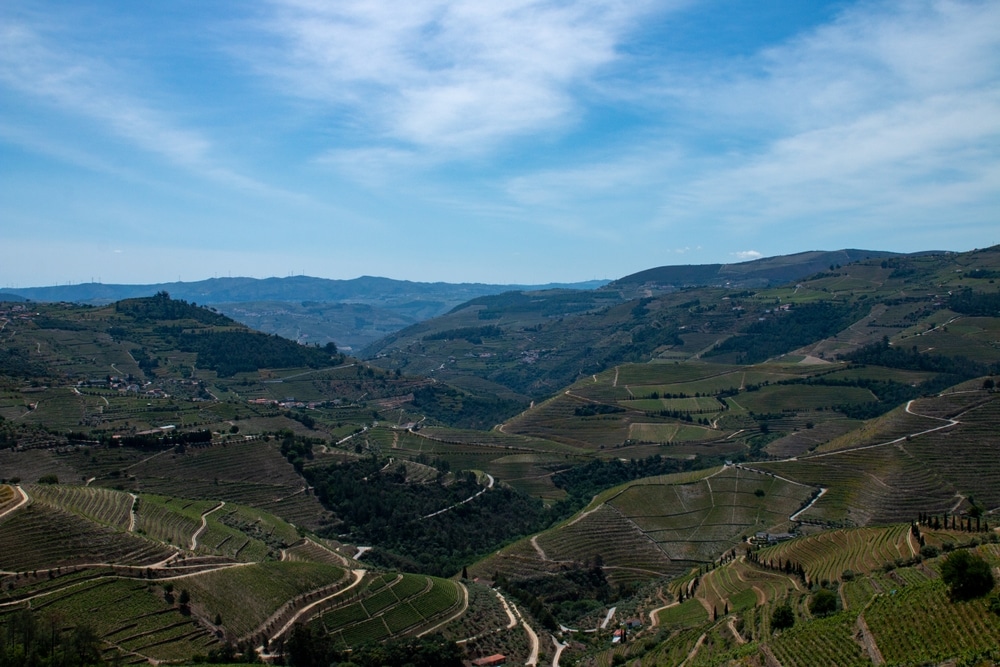 The Mystical and Mountainous Priorat Wine Region - SOMM TV Magazine