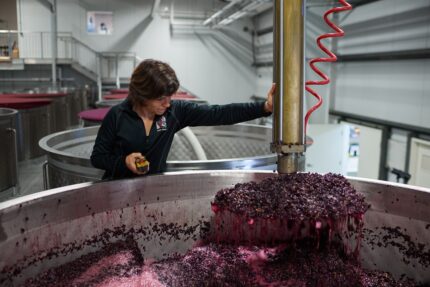 Creating Her Path While Replacing an Iconic Winemaker