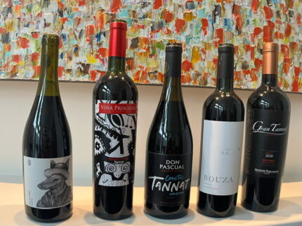 My Line-Up of Tannat Wines (Uruguay Wine)