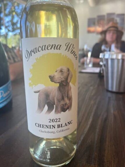 Exploring the Flavors of Paso Robles