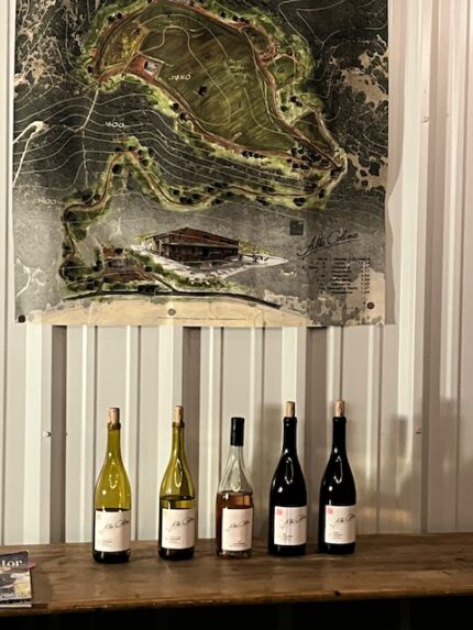 Exploring the Flavors of Paso