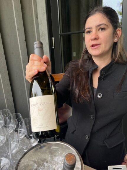 Sonoma Sojourn: A Wine Lover's Quick Adventure