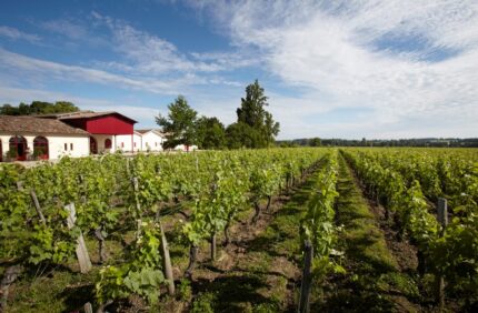 Right Bank Bordeaux: Where History, Merlot, and Innovation Converge