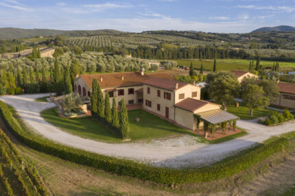 Campo alla Sughera: Bolgheri’s New Benchmark