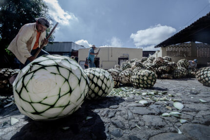Sipping Tradition with a Twist: Loco Tequila and the Maestro Behind the Magic