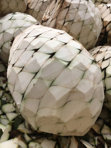 Sipping Tradition with a Twist: Loco Tequila and the Maestro Behind the Magic