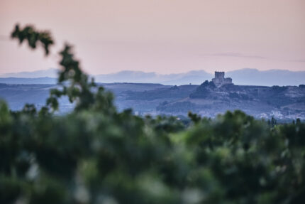 The Heartbeat of Ribera del Duero: A Family Conversation with Tinto Pesquera