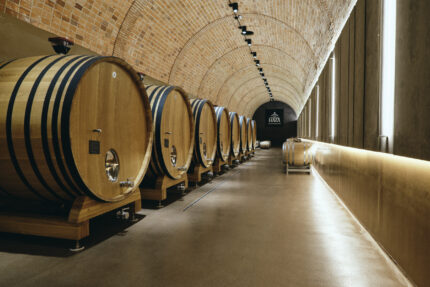 The Heartbeat of Ribera del Duero: A Family Conversation with Tinto Pesquera